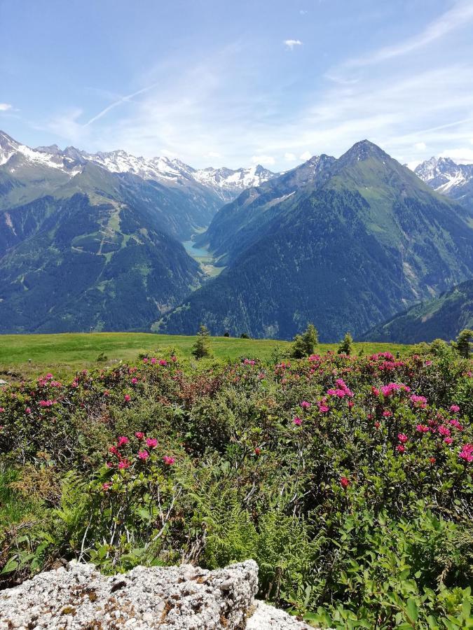 Gaestehaus Tramnitz Mayrhofen Eksteriør billede