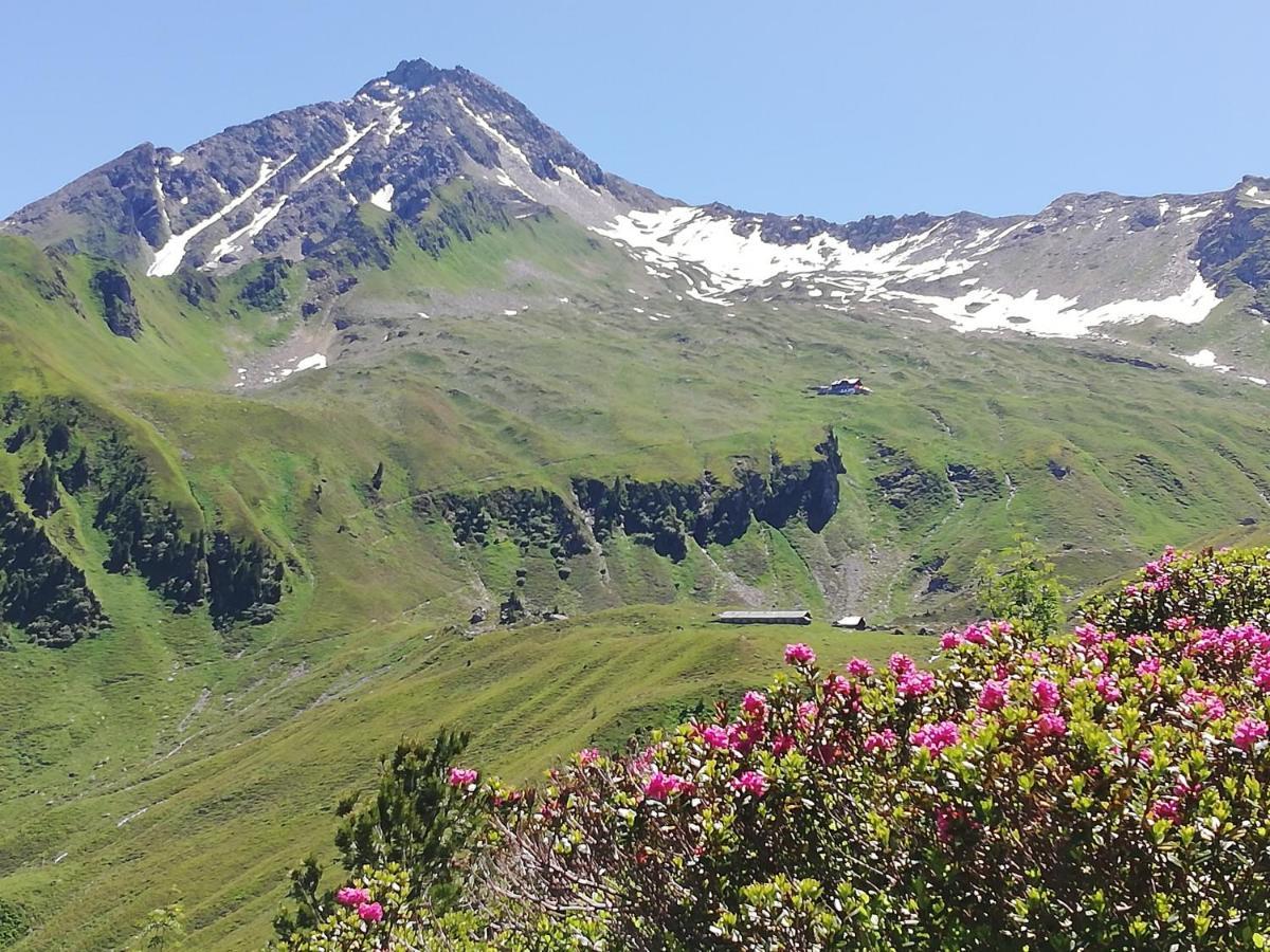 Gaestehaus Tramnitz Mayrhofen Eksteriør billede