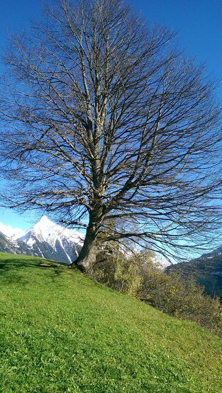 Gaestehaus Tramnitz Mayrhofen Eksteriør billede